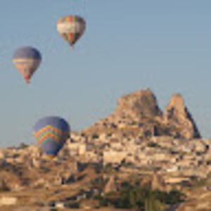 Meet your Posher, Ginger